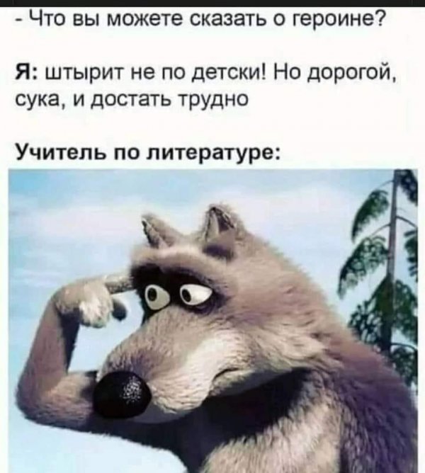 IMG_4853.jpeg