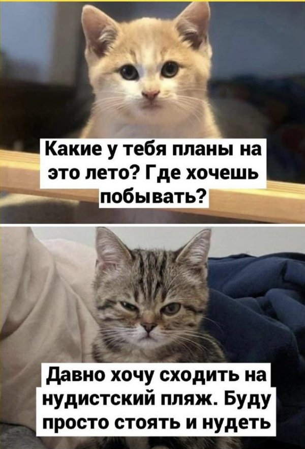 IMG_4896.jpeg